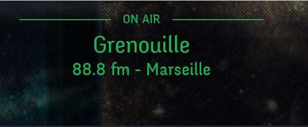 visuel 1Radio Grenouille Radio Grenouille